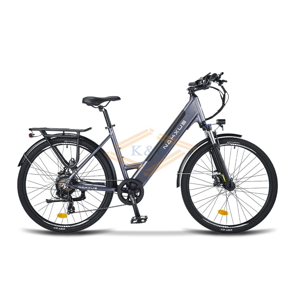 electric road bike 36V/250W 14Ah  Ebike 26 moray eel electric bike