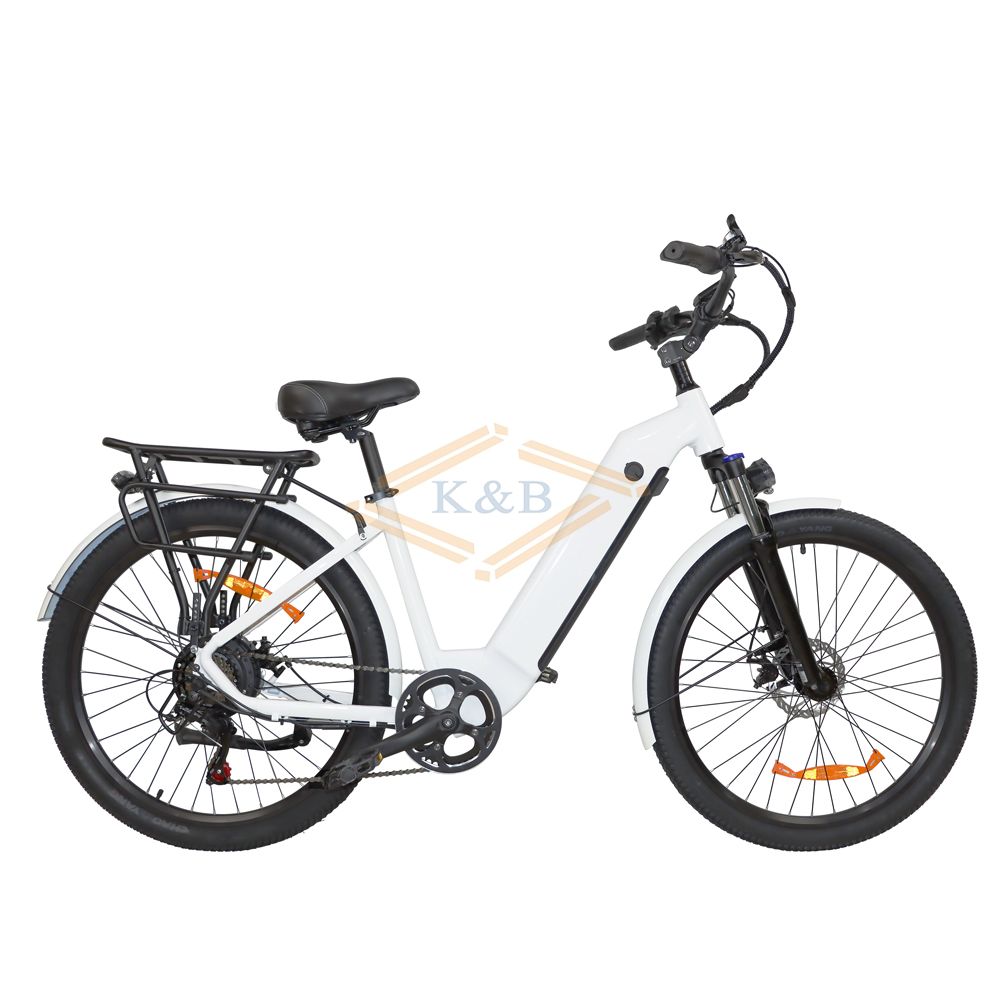 Eu warehouse electric road bike 48V/500W 12Ah Ebike DS2608 electric bike