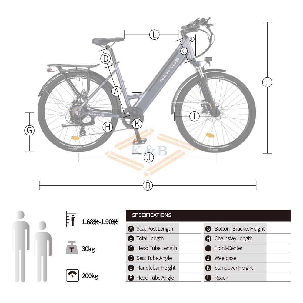 electric road bike 36V/250W 14Ah  Ebike 26 moray eel electric bike